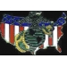 USMC MARINE CORPS LOGO USA SHAPE DX PIN
